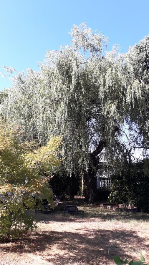 L' Abri Du Saule Villa Aussillon Eksteriør billede